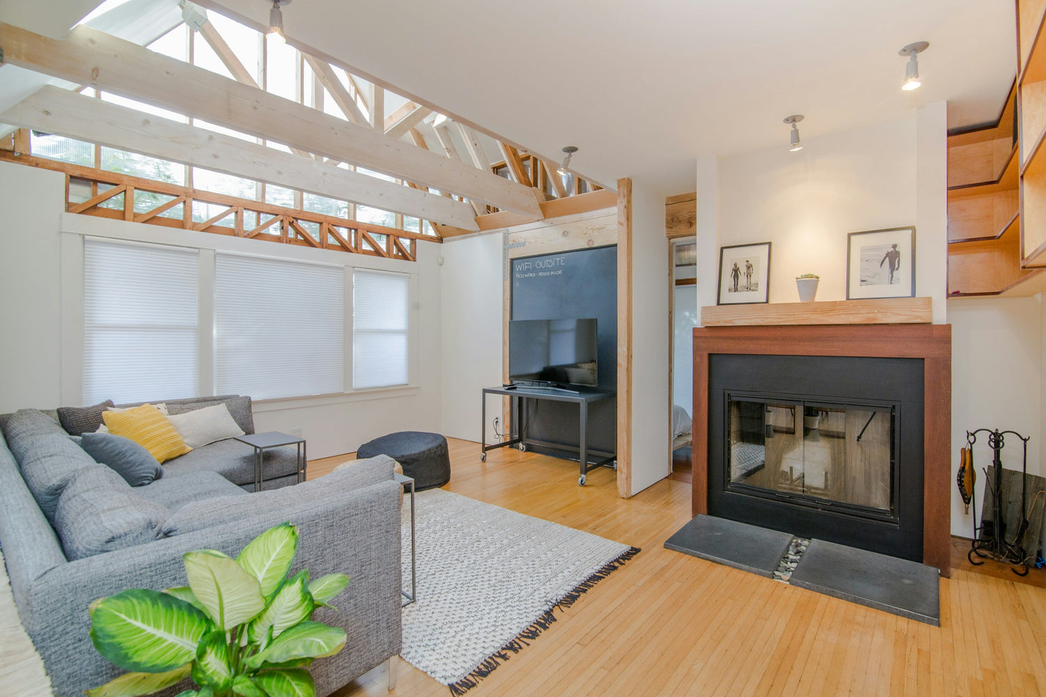 living room with sofa and couch with green plant